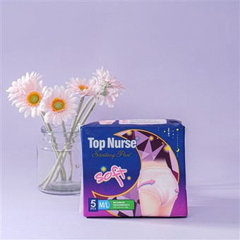 Chinese Disposable Night Menstrual Pants